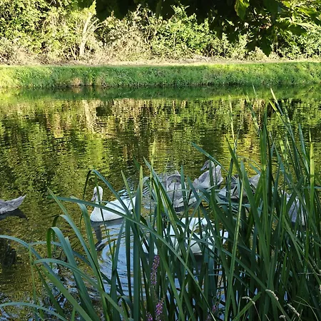 Alloggio per agriturismo Pasieka Miody Gor Opawskich