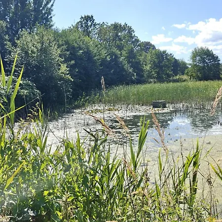 Pasieka Miody Gor Opawskich * Sobieszów