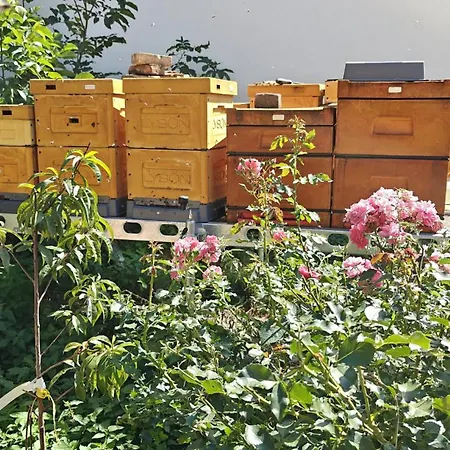 Farmház Pasieka Miody Gor Opawskich Sobieszów