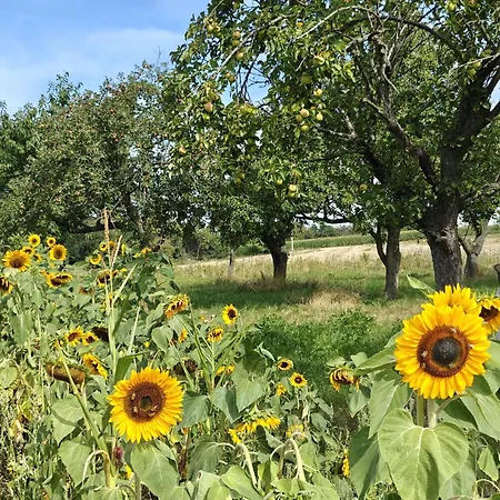 Alloggio per agriturismo Pasieka Miody Gor Opawskich