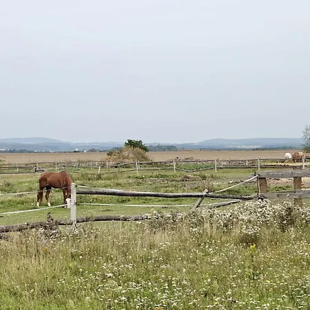 Farmház Pasieka Miody Gor Opawskich Sobieszów
