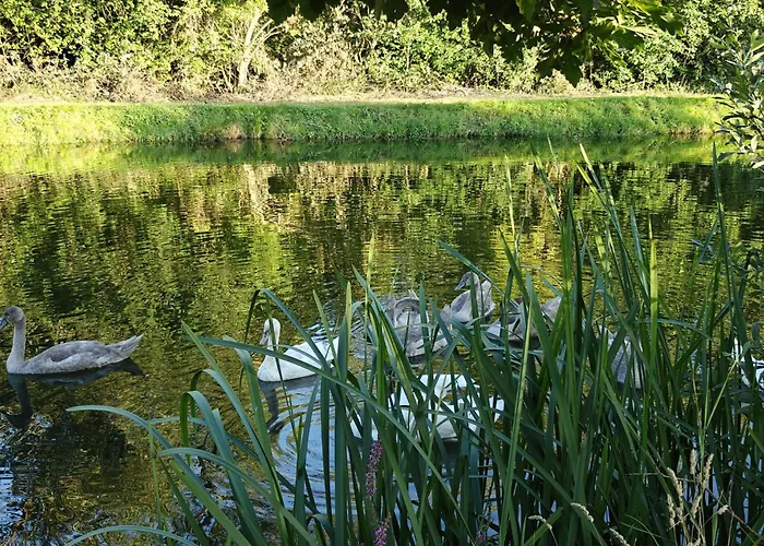 Alloggio per agriturismo Pasieka Miody Gor Opawskich