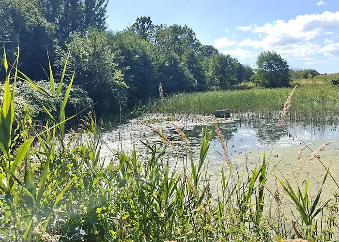 Pasieka Miody Gor Opawskich * Sobieszow