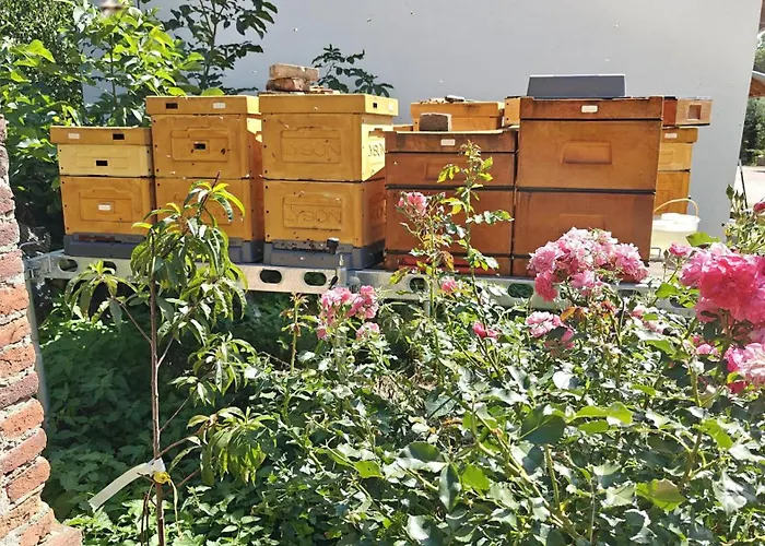 Фермерский дом Pasieka Miody Gor Opawskich Собешув