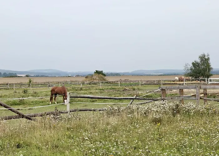 Alloggio per agriturismo Pasieka Miody Gor Opawskich Sobieszow